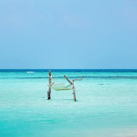 Angsana Velavaru - Part Of Banyan Group With Free Return Seaplane Transfers-2